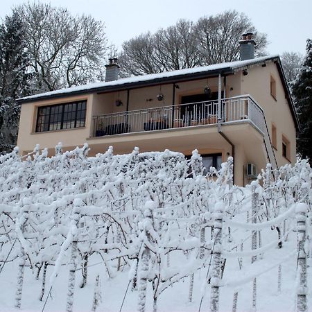 Apartmán Casavitis Erholung Am Weinberg Lontzen Exteriér fotografie