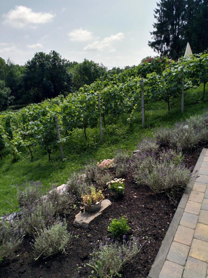 Apartmán Casavitis Erholung Am Weinberg Lontzen Exteriér fotografie