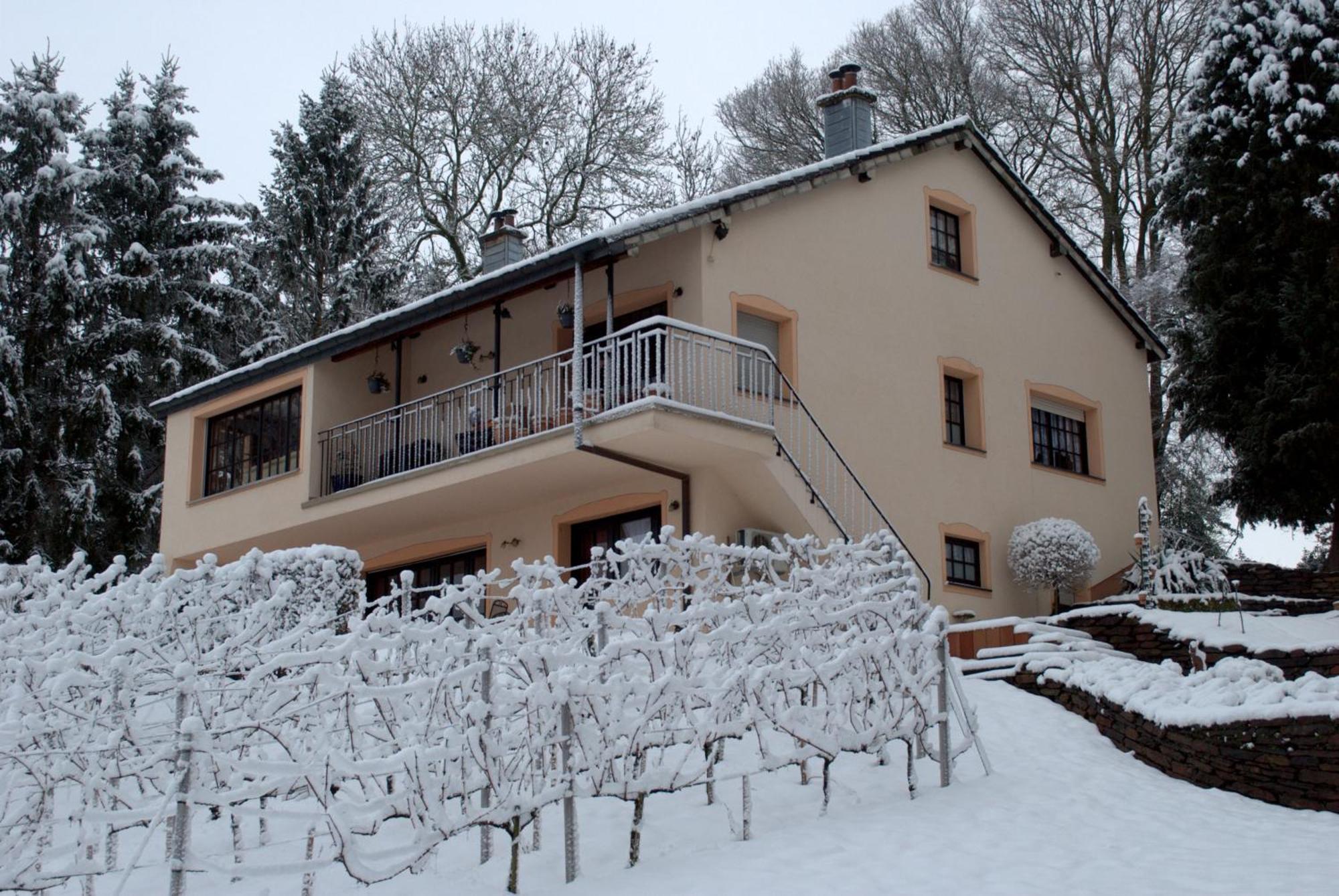 Apartmán Casavitis Erholung Am Weinberg Lontzen Exteriér fotografie